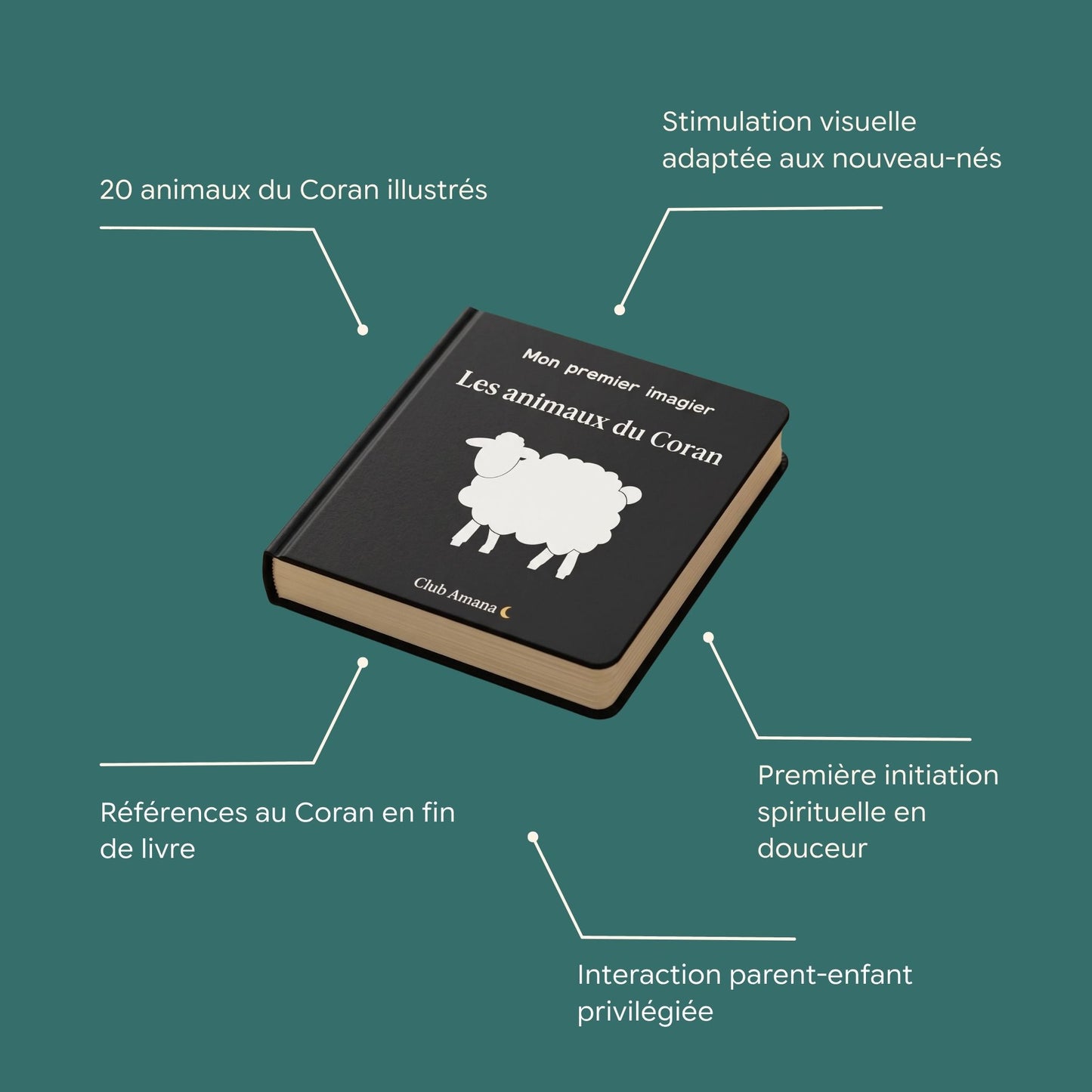 Les Animaux du Coran