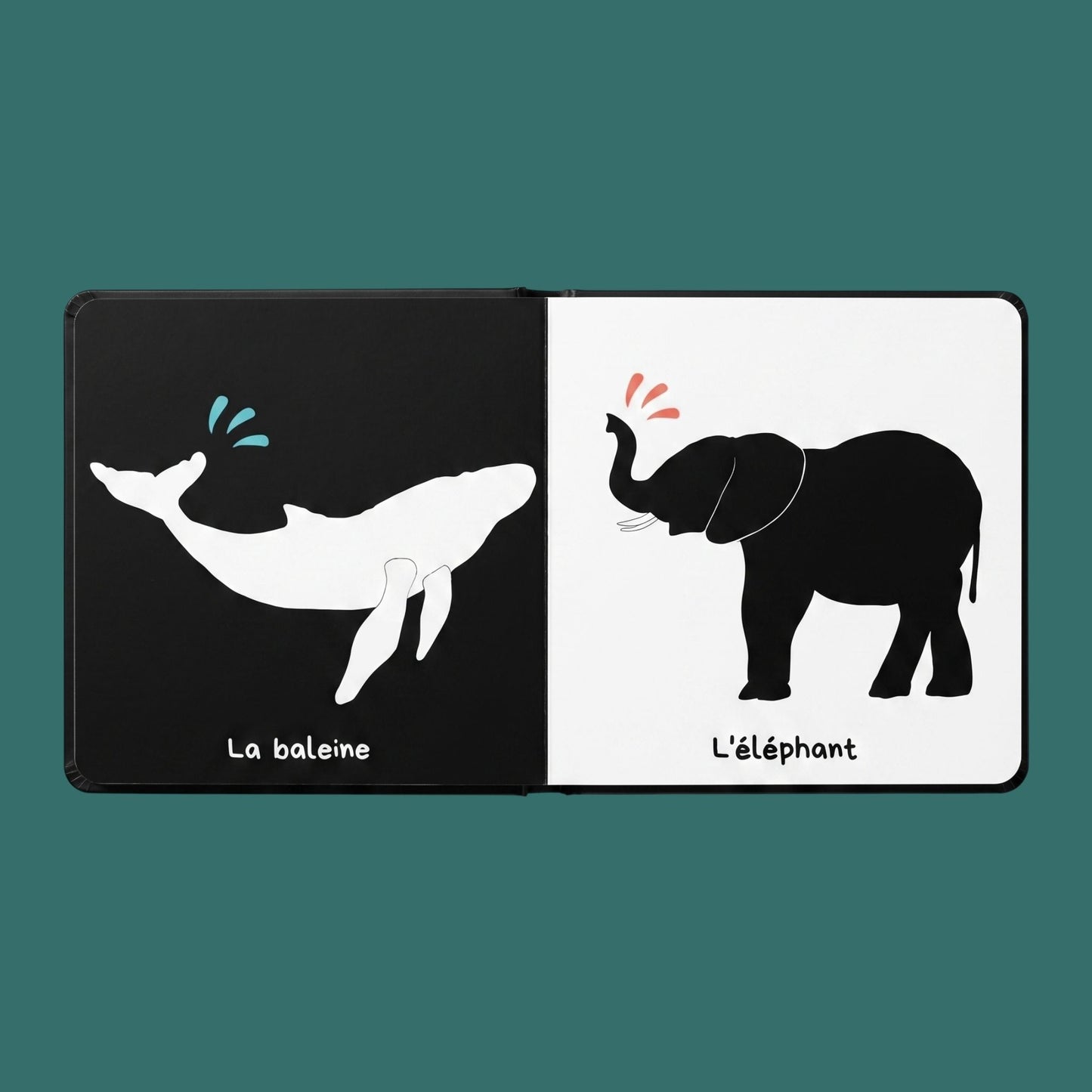 Les Animaux du Coran